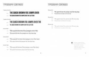 OpenSnow typography exploration